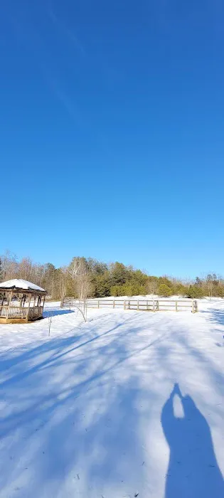 Four Paws Kingdom Campground & Dog Retreat Picture 6