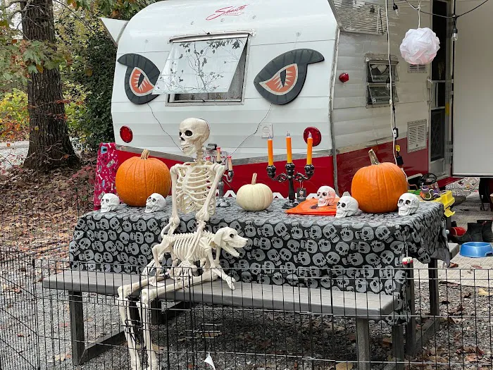 Four Paws Kingdom Campground & Dog Retreat Picture 5