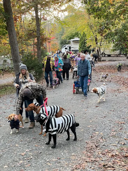 Four Paws Kingdom Campground & Dog Retreat Picture 2
