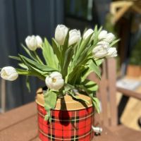 Wheat Creek Outpost - Glamping & Events - Coming Soon! ico