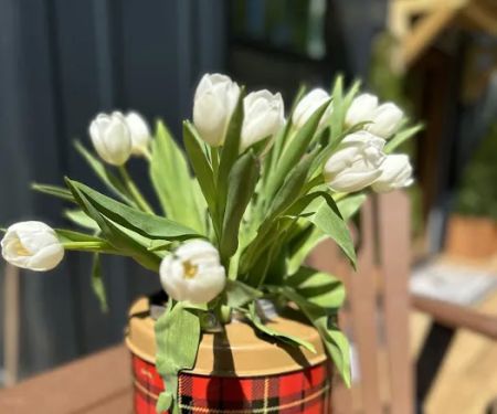 Wheat Creek Outpost - Glamping & Events - Coming Soon!