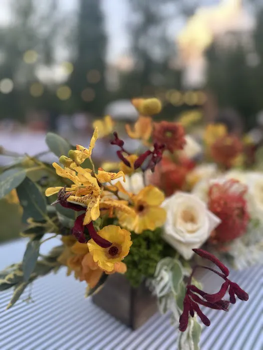 Wheat Creek Outpost - Glamping & Events - Coming Soon! Picture 2