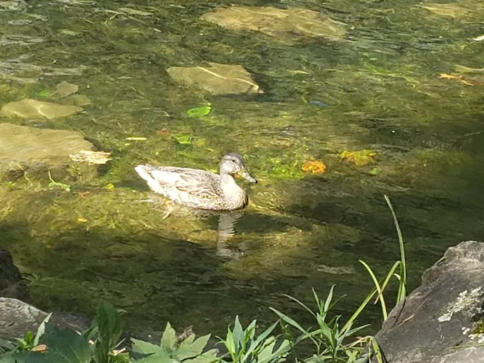 Tailwater Campground Picture 2