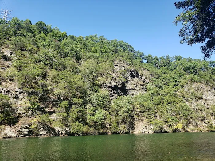 Tailwater Campground Picture 4