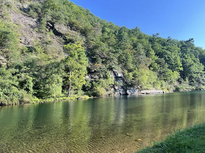 Watauga Dam Campground Picture 6