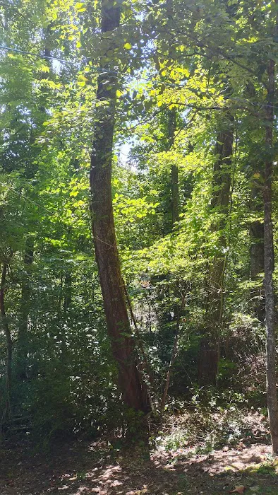 Little Pond Mountain Campground Picture 9
