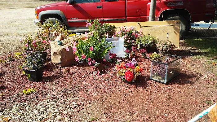 Little Pond Mountain Campground Picture 4