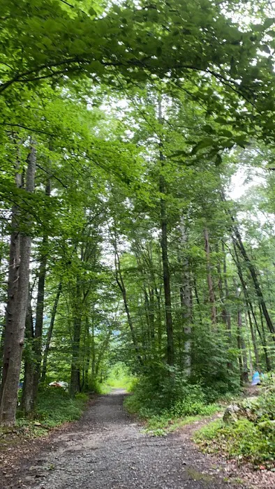 Little Stoney Creek Campground Picture 3