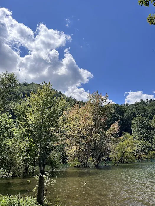 Little Stoney Creek Campground Picture 8