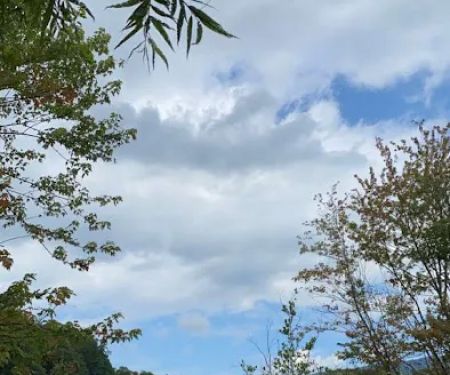 Little Stoney Creek Campground