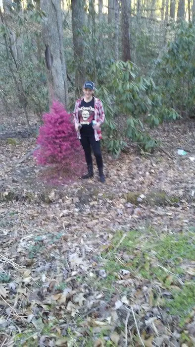 Little Stoney Creek Campground Picture 5