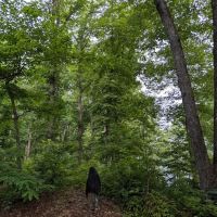 Cardens Bluff Campground ico