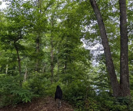 Cardens Bluff Campground