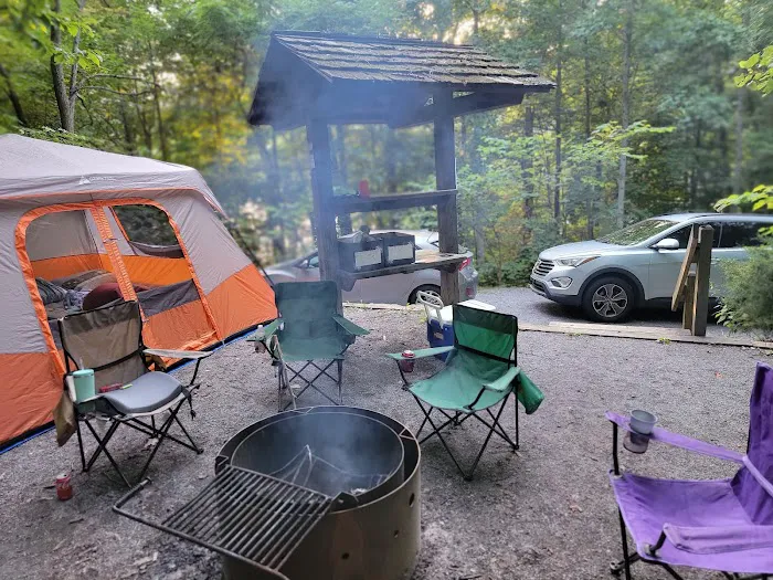 Cardens Bluff Campground Picture 6