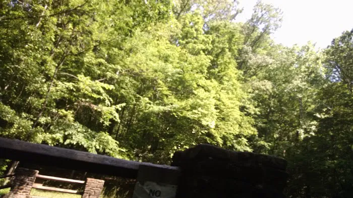 Cave Springs Campground Picture 1