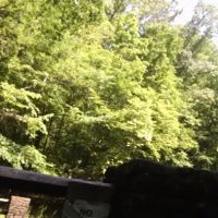 Cave Springs Campground ico