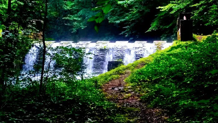 Cave Springs Campground Picture 7