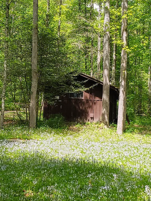 Cave Springs Campground Picture 8