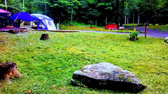 Cave Springs Campground Picture 6