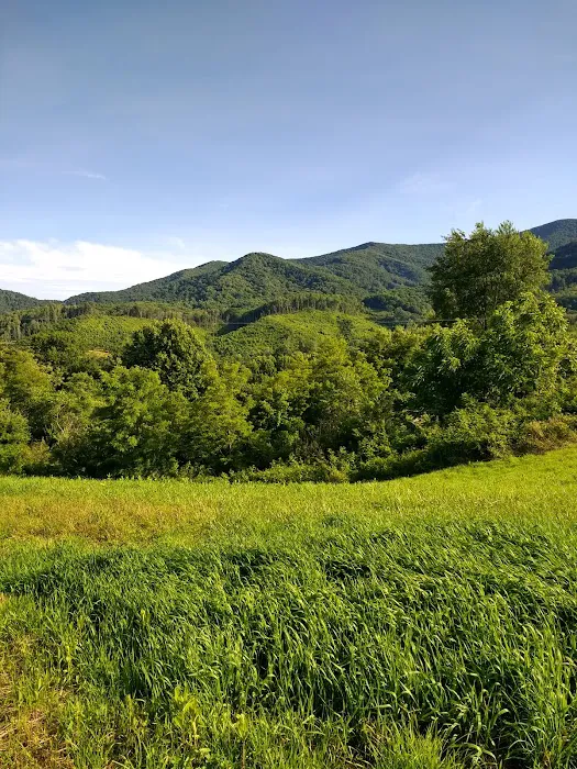 Mountain View Motorcycle Campground Picture 10