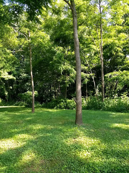 Mountain View Motorcycle Campground Picture 6