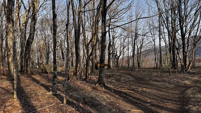 Doll Flats Picture 3