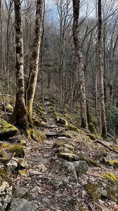 Doll Flats Picture 4