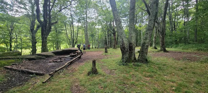 Doll Flats Picture 1