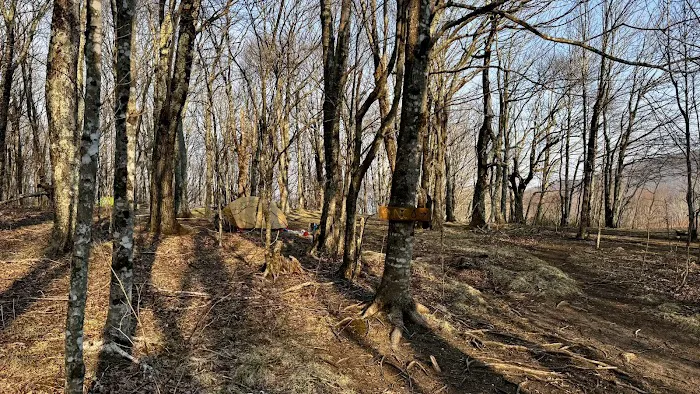 Doll Flats Picture 5