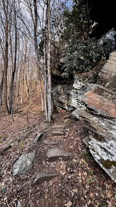 Doll Flats Picture 2