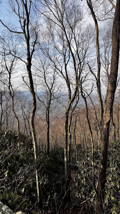 Doll Flats Picture 6