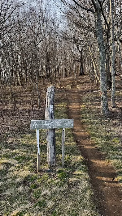 Doll Flats Picture 7