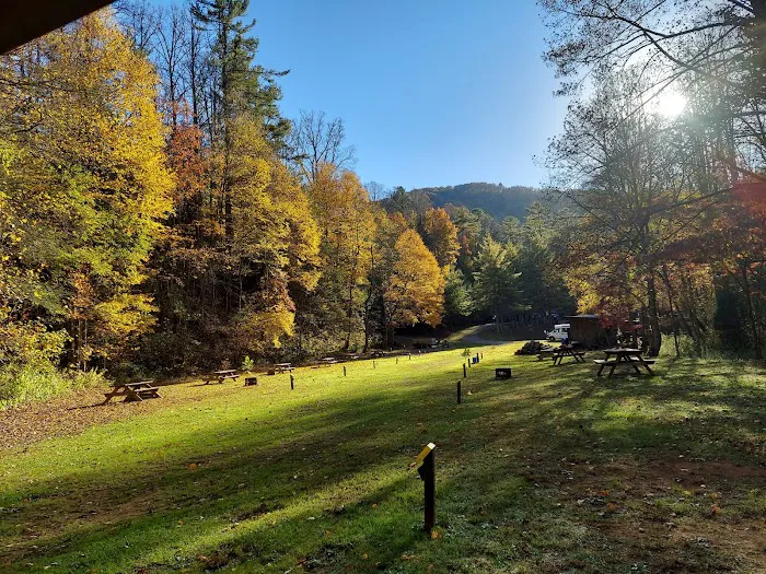 Black Bear Resort Picture 1