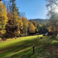 Black Bear Resort ico