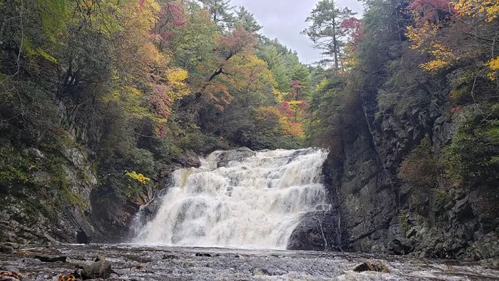 Black Bear Resort Picture 9