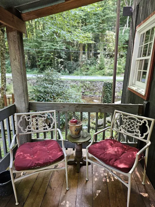 Black Bear Resort Picture 4