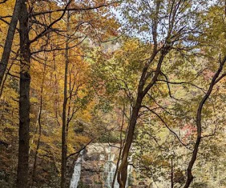 Dennis Cove Recreation Area