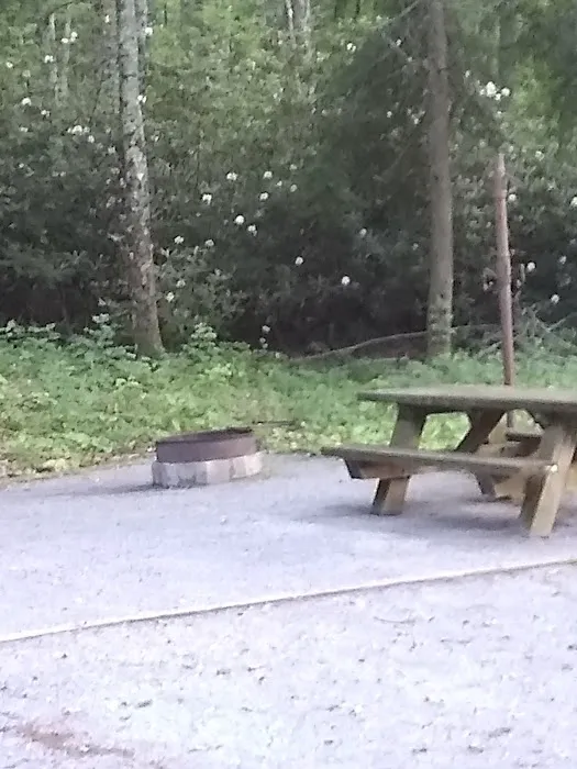 Dennis Cove Recreation Area Picture 3