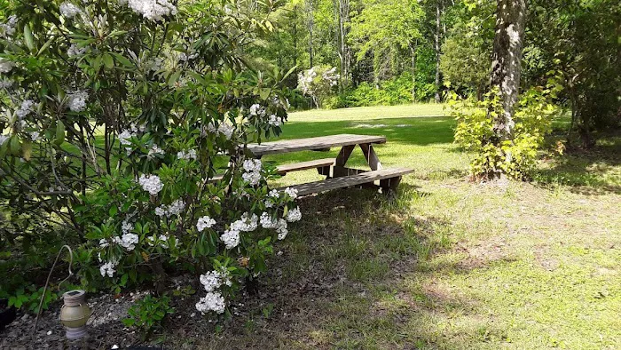 Doe River Campground Picture 1