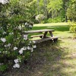 Doe River Campground