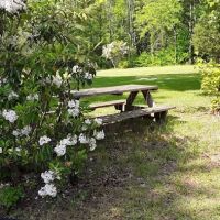 Doe River Campground ico