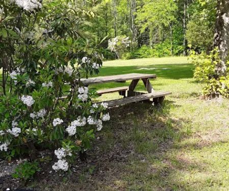 Doe River Campground