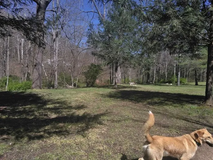 Doe River Campground Picture 2