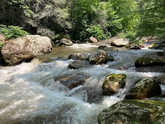 Doe River Landing Picture 6