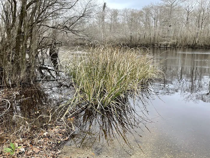 Sampson Landing Picture 7