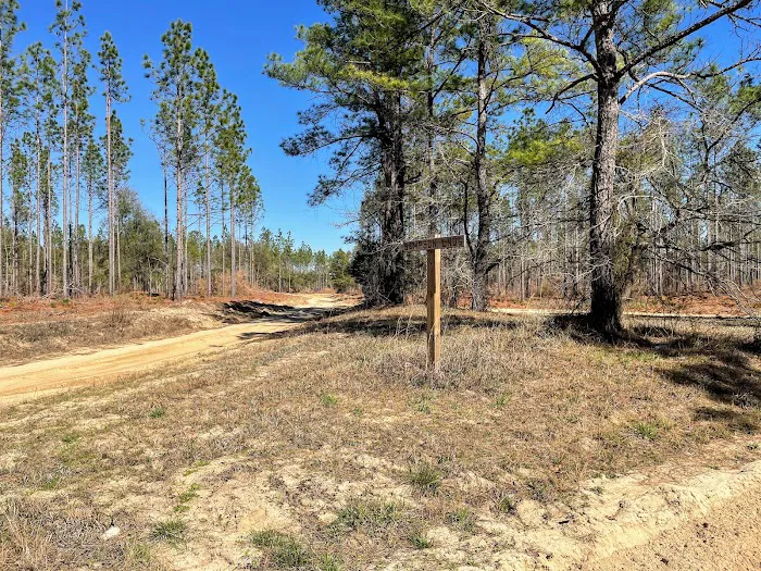 Sampson Landing Picture 6