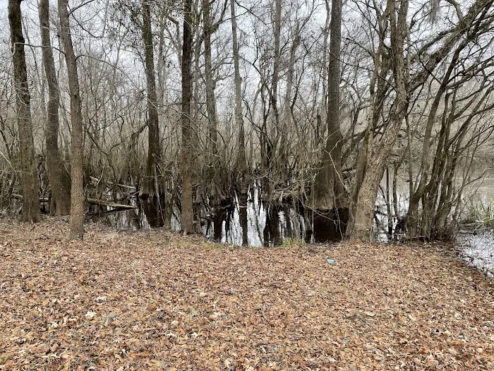 Sampson Landing Picture 2