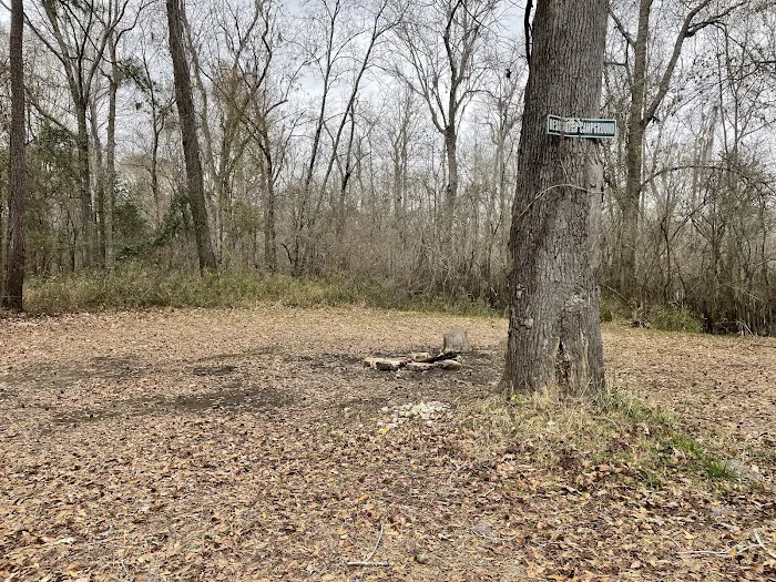 Sampson Landing Picture 5