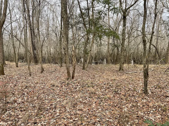 Sampson Landing Picture 3