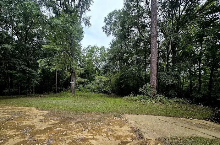 Sampson Landing Picture 10